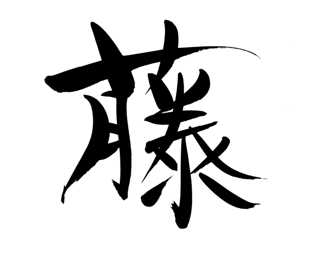 Accueil logo fujimune it